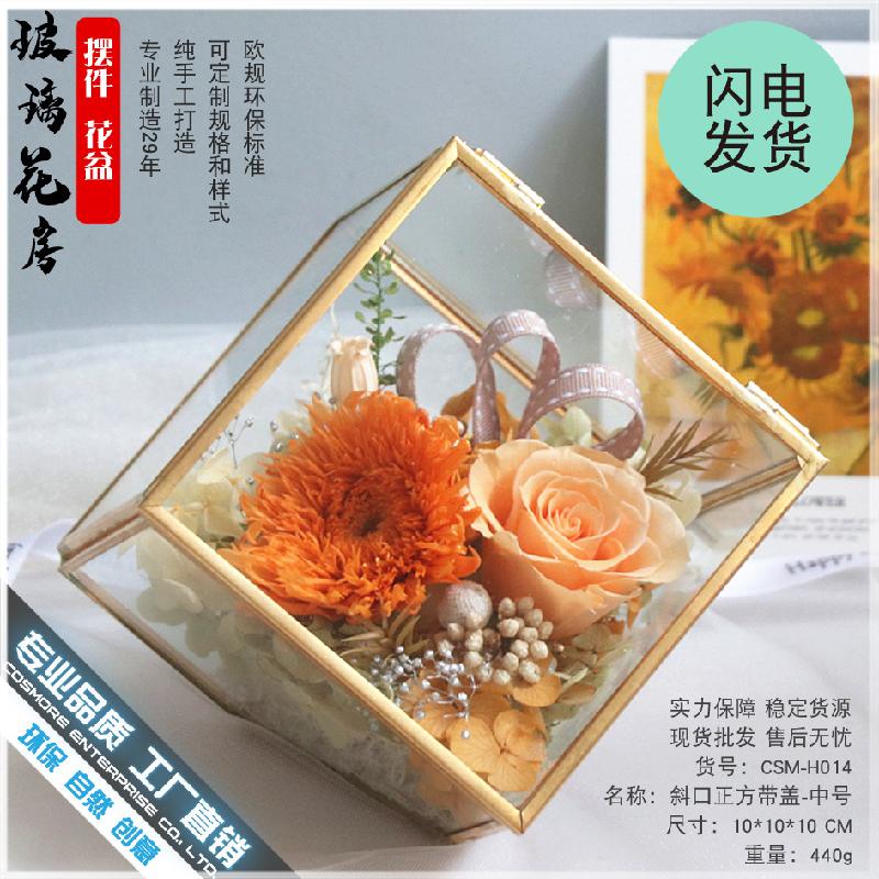 Chậu Đa Giác DG-57 Hoa vĩnh cửu trong kính cối, quà lễ hộp cỏ khô, sáng tạo thảm cỏ, khu vực nhỏ có nắp