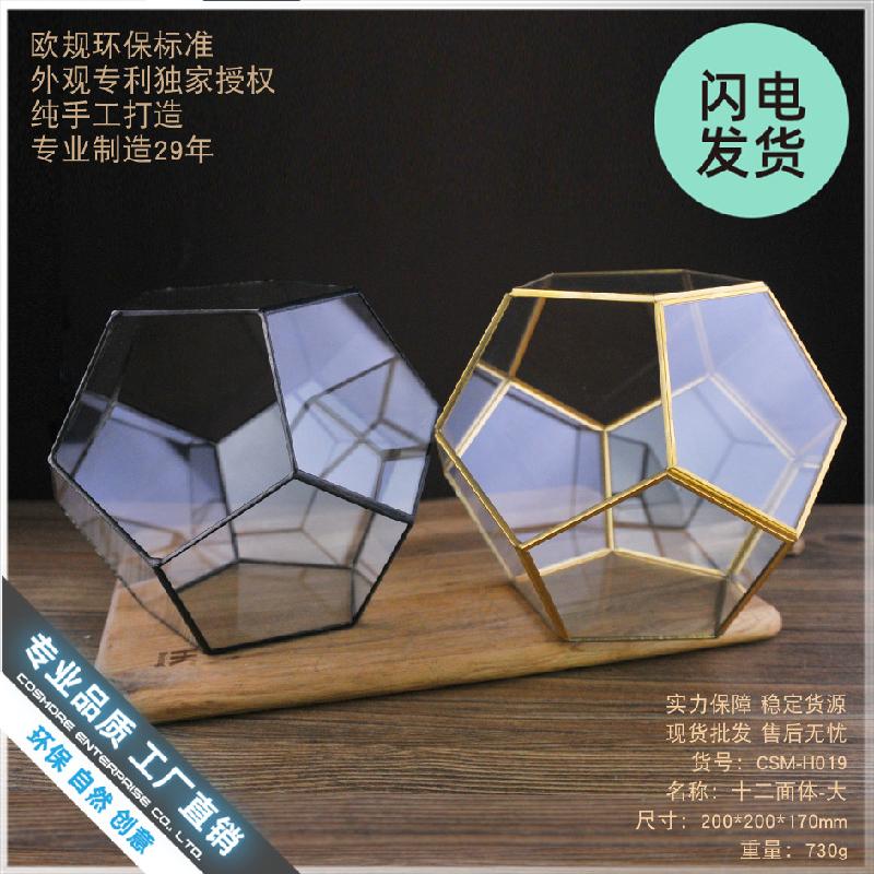 Chậu Đa Giác Nhà kính 12 mặt lớn, bể rêu cảnh mini (DG-54)
