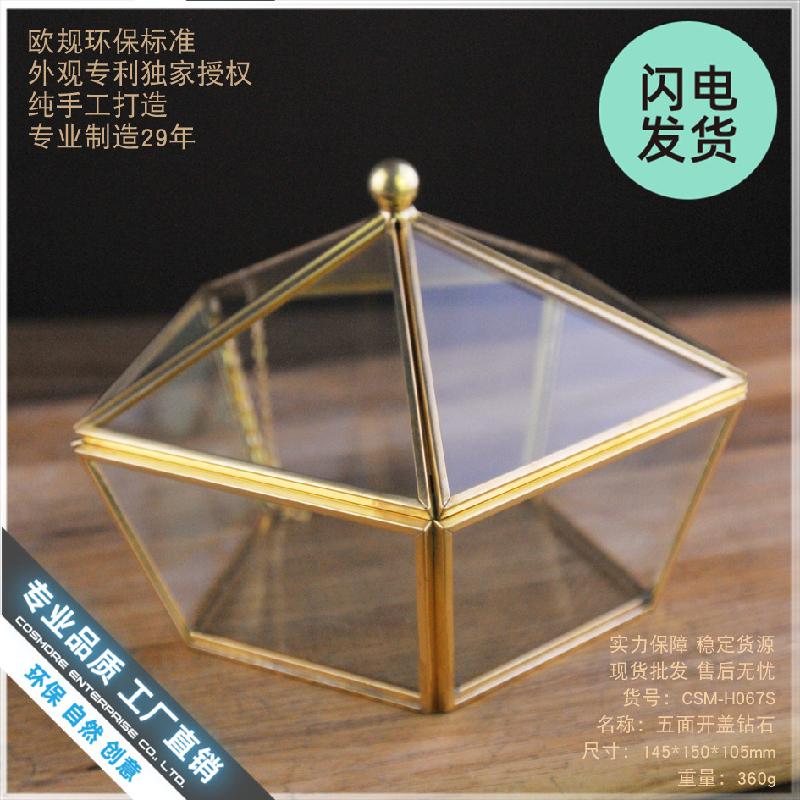 Chậu Đa Giác Hộp kính hoa bất tử mini, hộp quà sinh nhật (DG-174)