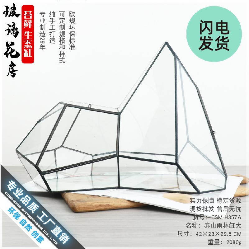Chậu Đa Giác Bể rêu cảnh rừng nhiệt đới hình học (DG-61)