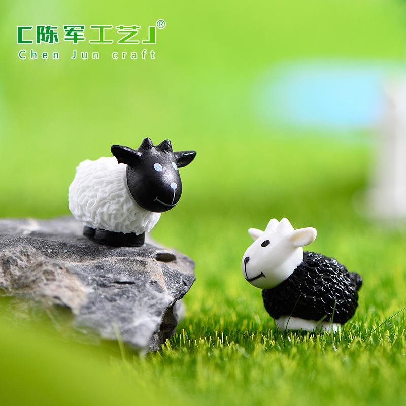 Cừu Đen Và Cừu Trắng (ZC-89)