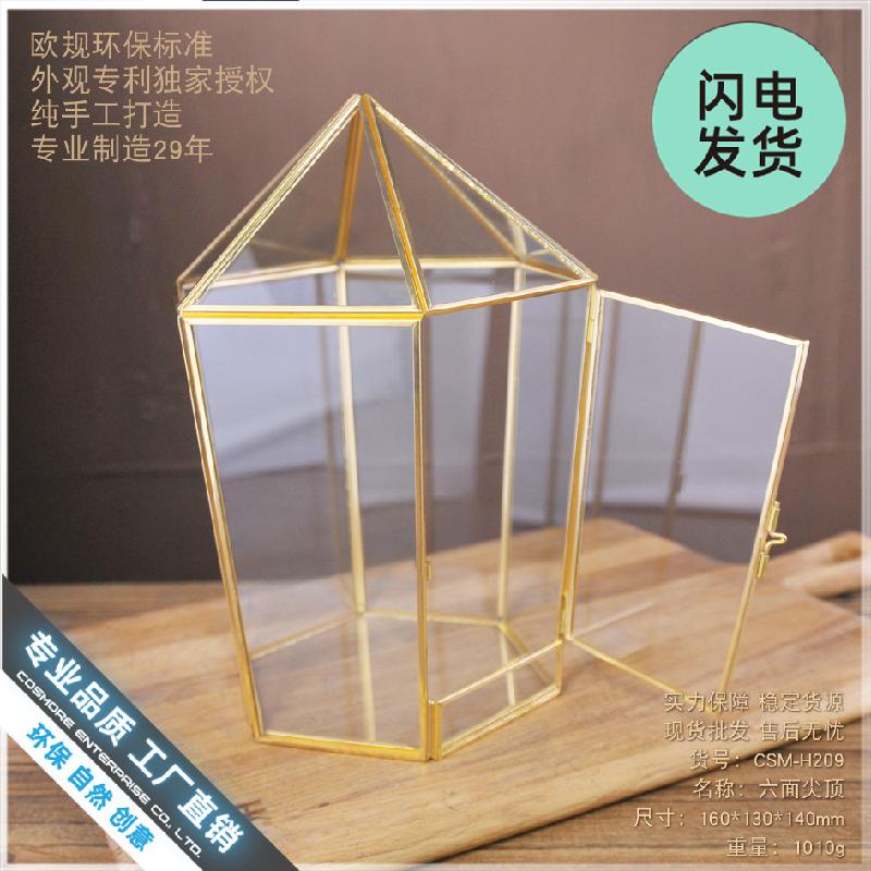 Chậu Đa Giác Nhà kính hình học, hộp hoa bất tử, Terrarium (DG-111)