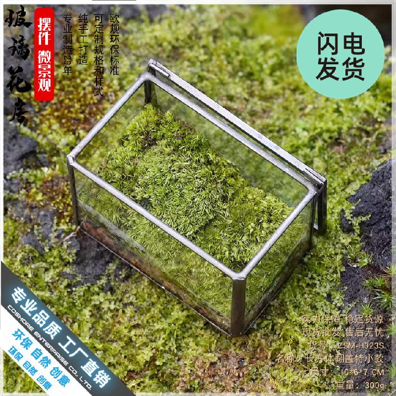 Chậu Đa Giác Hộp kính Terrarium rêu cảnh để bàn (DG-13)