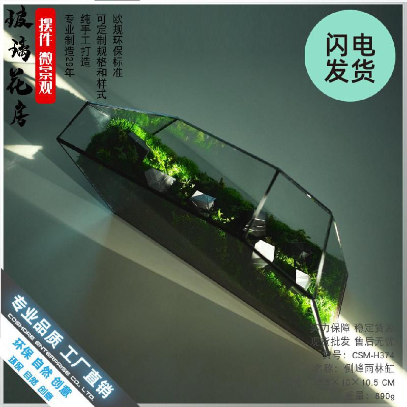 Chậu Đa Giác Bể Terrarium rêu cảnh, tường cây, bể cá kính (DG-64)