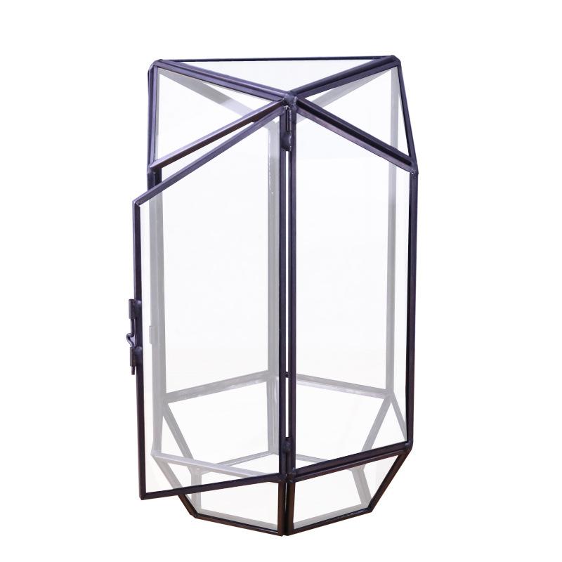Chậu Đa Giác Hộp kính rêu cảnh, hộp quà cây cảnh (DG-181)
