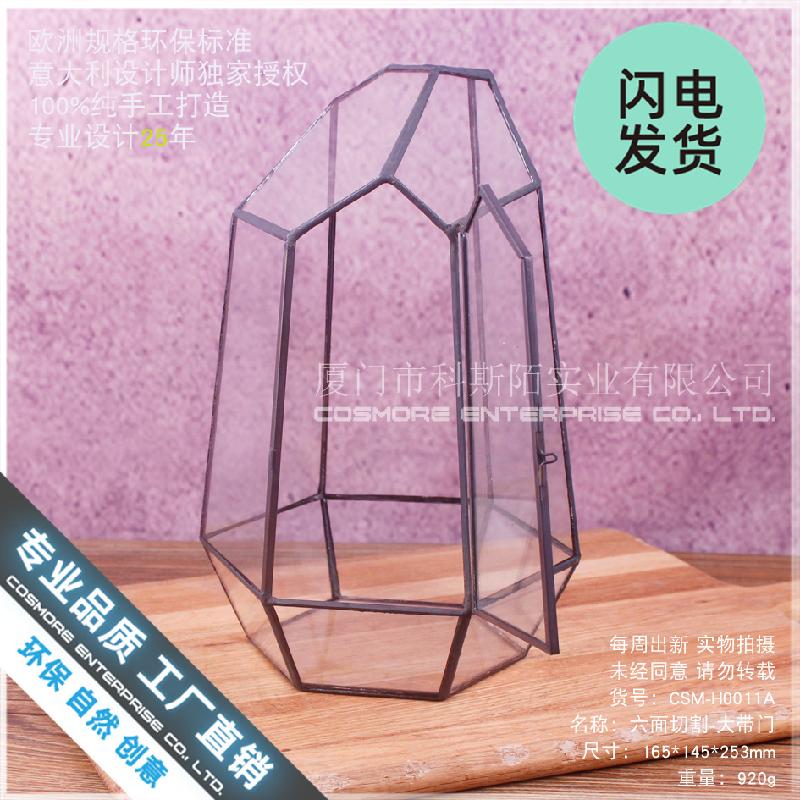 Chậu Đa Giác Nhà kính 6 mặt rêu cảnh (DG-28)