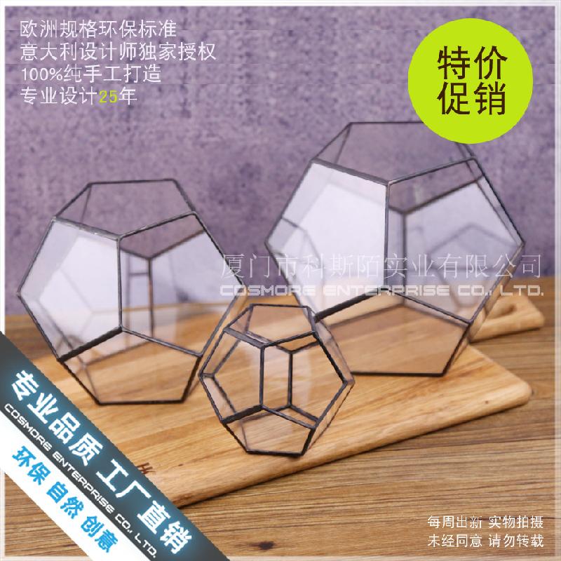 Chậu Đa Giác Nhà kính 12 mặt lớn, bể rêu cảnh mini (DG-54)
