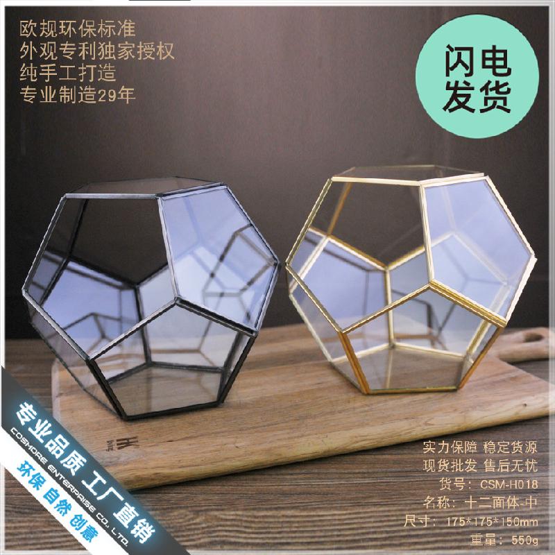 Chậu Đa Giác Nhà kính 12 mặt Terrarium rêu cảnh (DG-17)