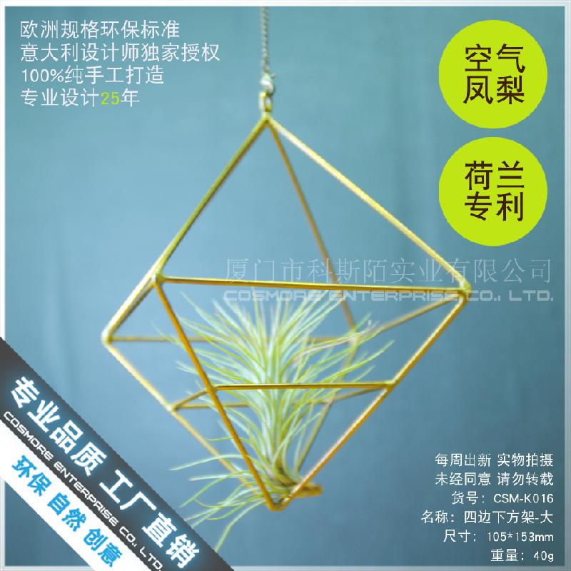 Chậu Đa Giác Nhà kính kim cương, chậu cây không khí (DG-172)