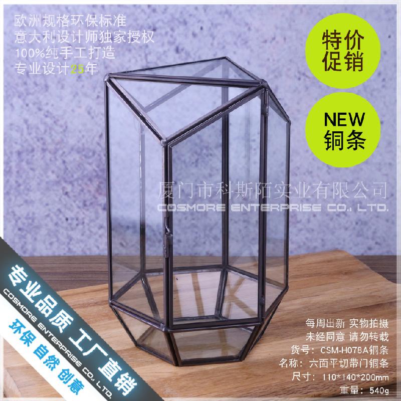 Chậu Đa Giác Hộp kính rêu cảnh, hộp quà cây cảnh (DG-181)
