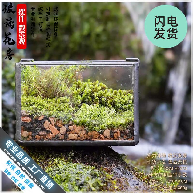 Chậu Đa Giác Hộp kính Terrarium rêu cảnh để bàn (DG-13)
