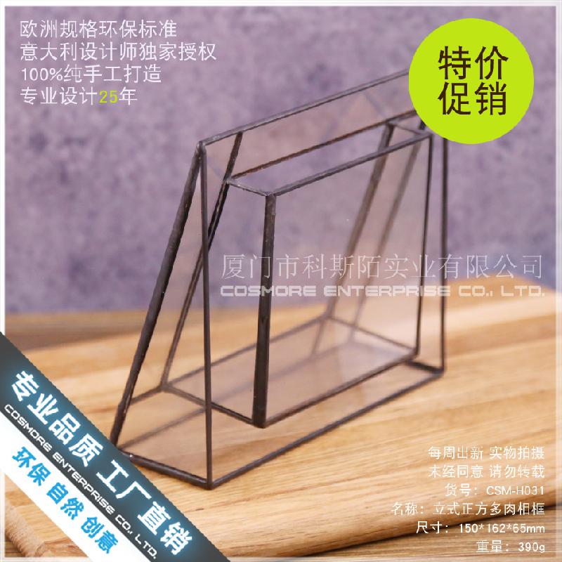 Chậu Đa Giác Nhà kính vuông đứng Terrarium, chậu sen đá mini (DG-53)