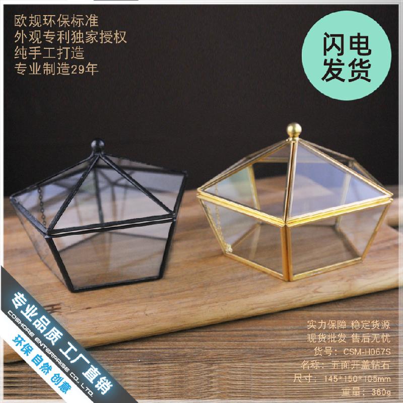 Chậu Đa Giác Hộp kính hoa bất tử mini, hộp quà sinh nhật (DG-174)