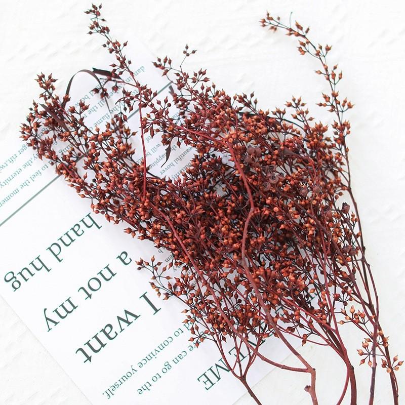 Hoa khô trang trí FY-43