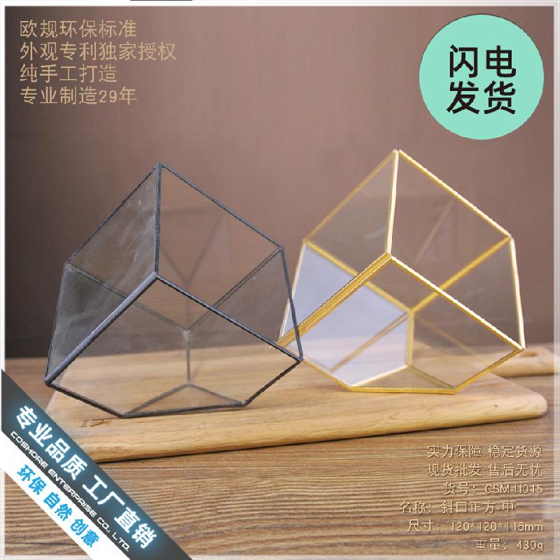 Chậu Đa Giác Nhà kính vuông Terrarium hoa bất tử (DG-227)
