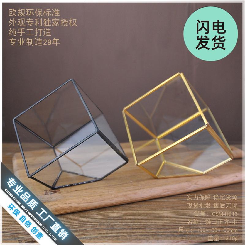 Chậu Đa Giác Nhà kính cây cảnh nghiêng vuông mini (DG-57)