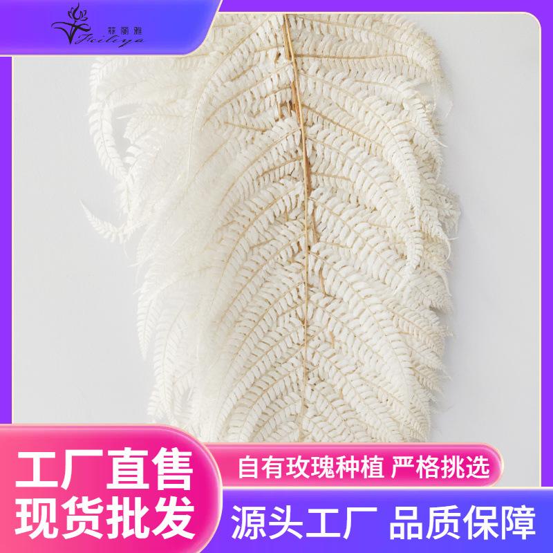 Hoa khô trang trí FY-77