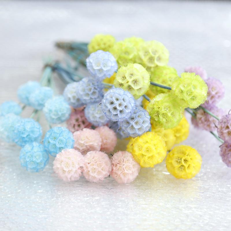 Hoa khô trang trí FY-29