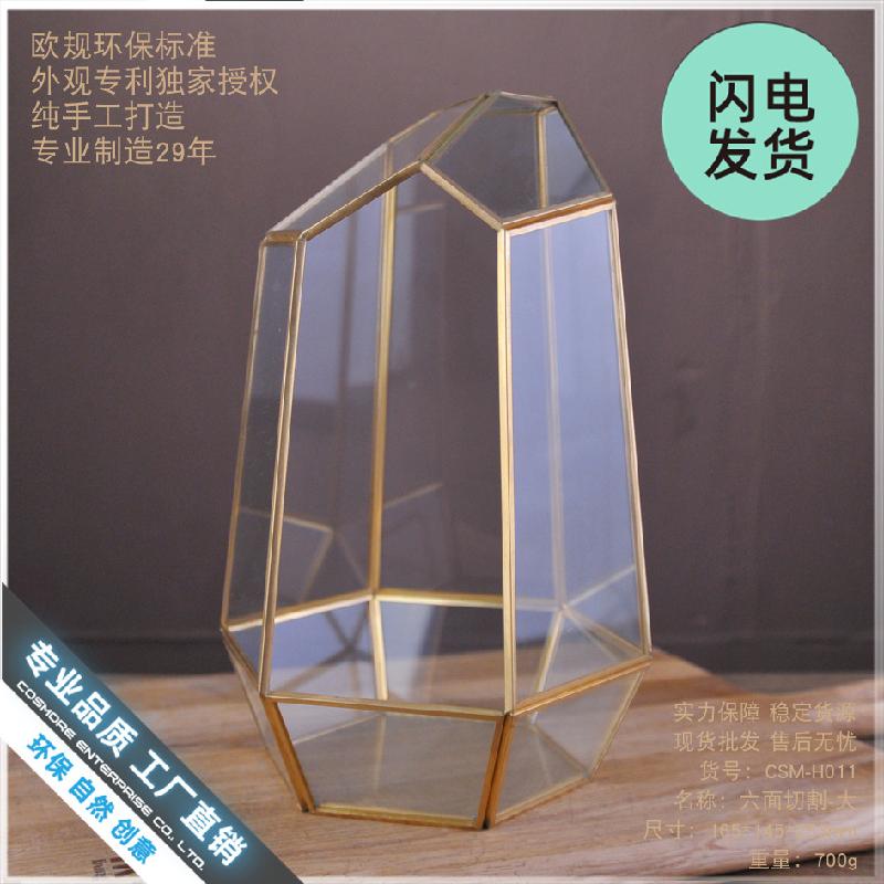 Bình kính Terrarium rêu cảnh (DG-22)