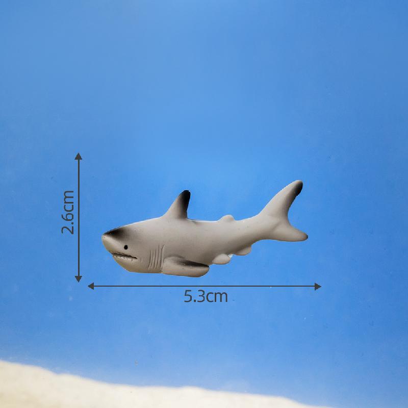 Cá mập và đại dương (ZC-1184)