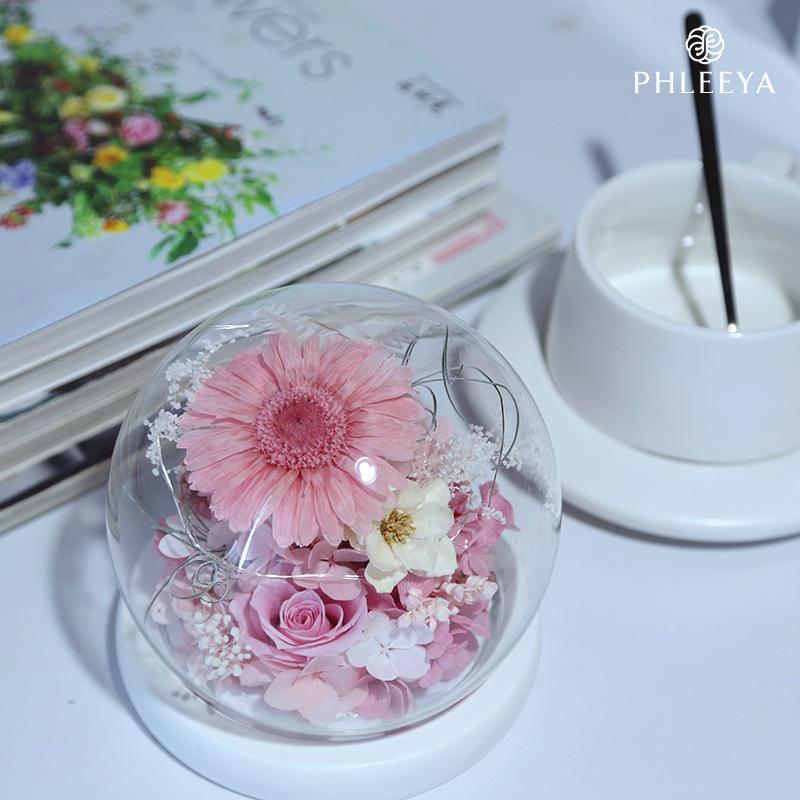 Hoa khô trang trí Hoa hồng vĩnh cửu lồng kính quả cầu vũ trụ quà Valentine (HK-113)