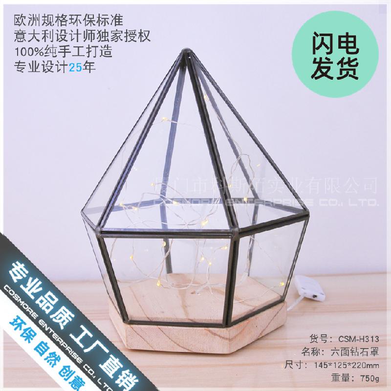 Chậu Đa Giác Chụp kính đế gỗ lục giác trang trí mô hình (DG-138)