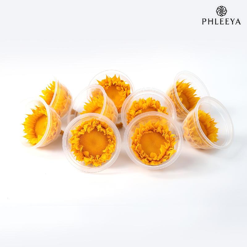 Hoa khô trang trí Hoa hướng dương vĩnh cửu 7–8cm 3 bông DIY hoa khô quà tặng (HK-20)