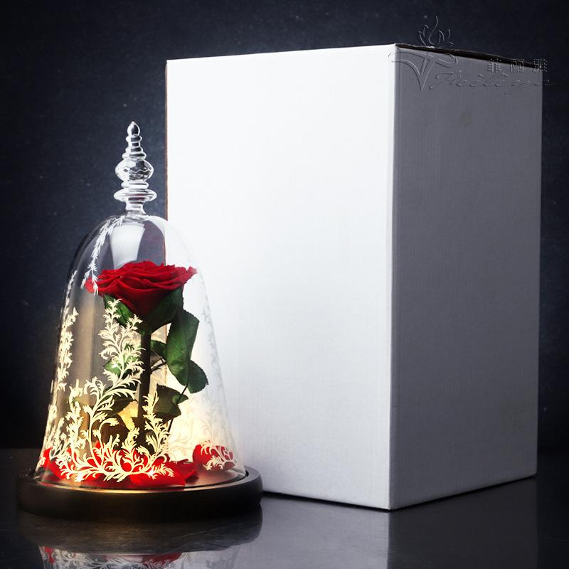 Hoa khô trang trí FY-162