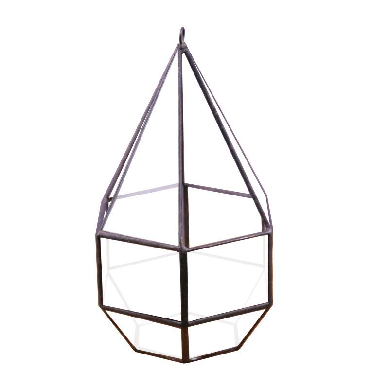 Chậu Đa Giác Bình kính DIY Terrarium sen đá (DG-216)