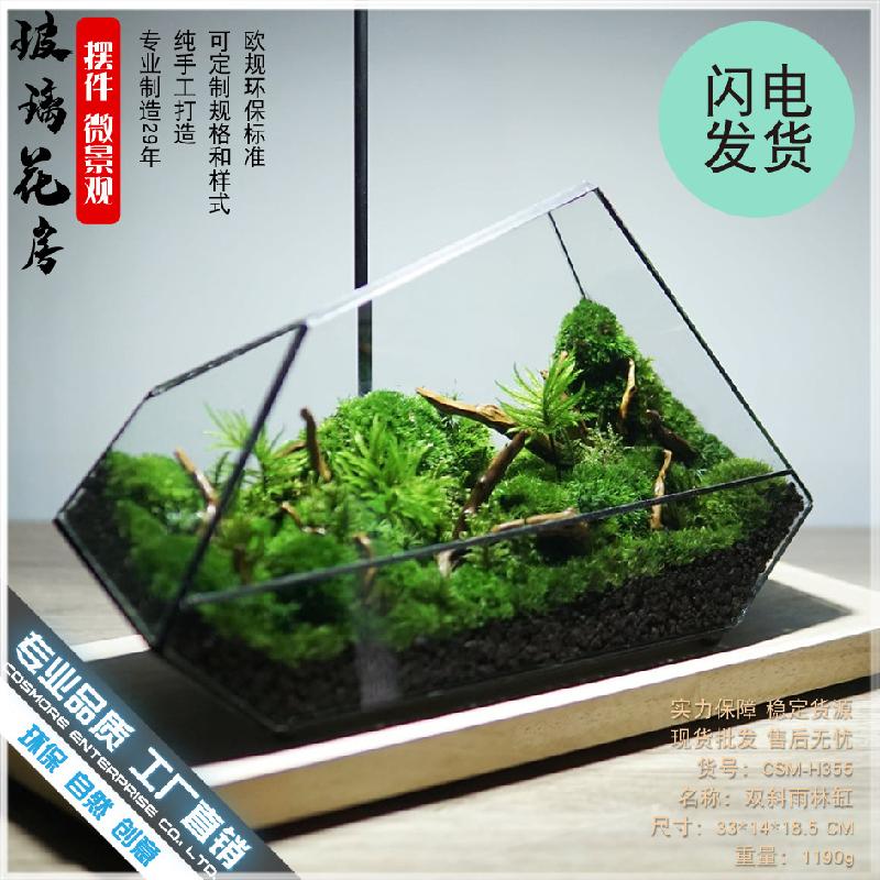 Chậu Đa Giác DG-3 Hộp gỗ, hồ nước rừng, thảm thực vật, cảnh quan nhỏ, hình học kính, thủy tinh, hộp che phủ, trang trí nhà cửa