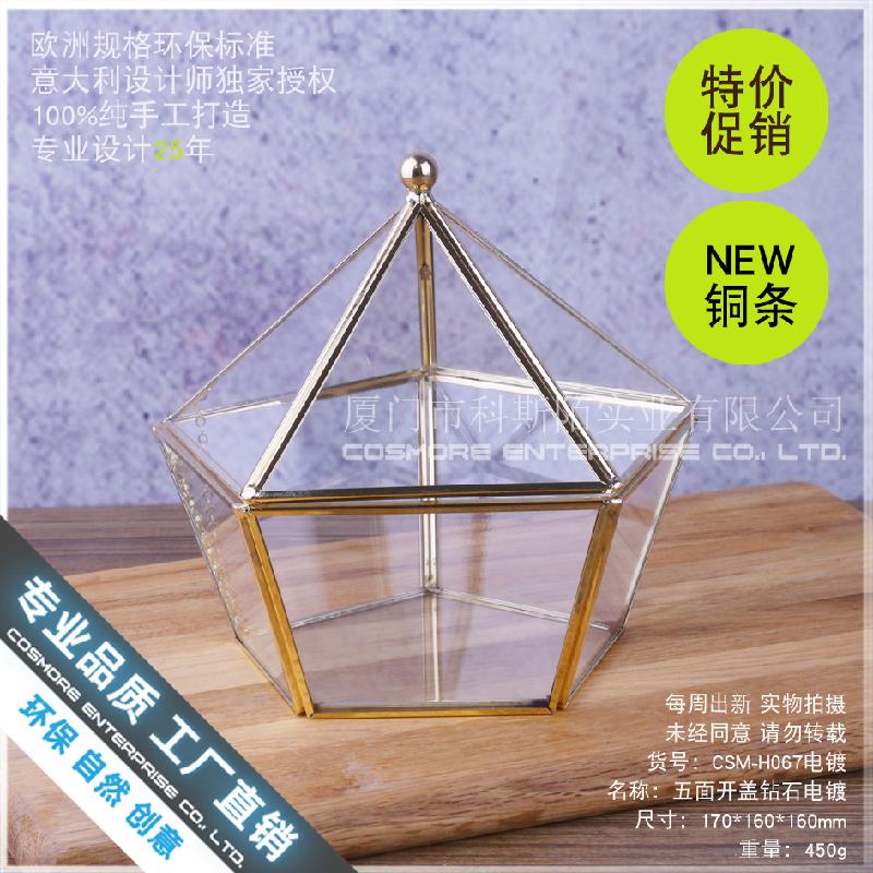 Chậu Đa Giác Hộp kính hoa bất tử, hộp trang sức 5 mặt (DG-179)