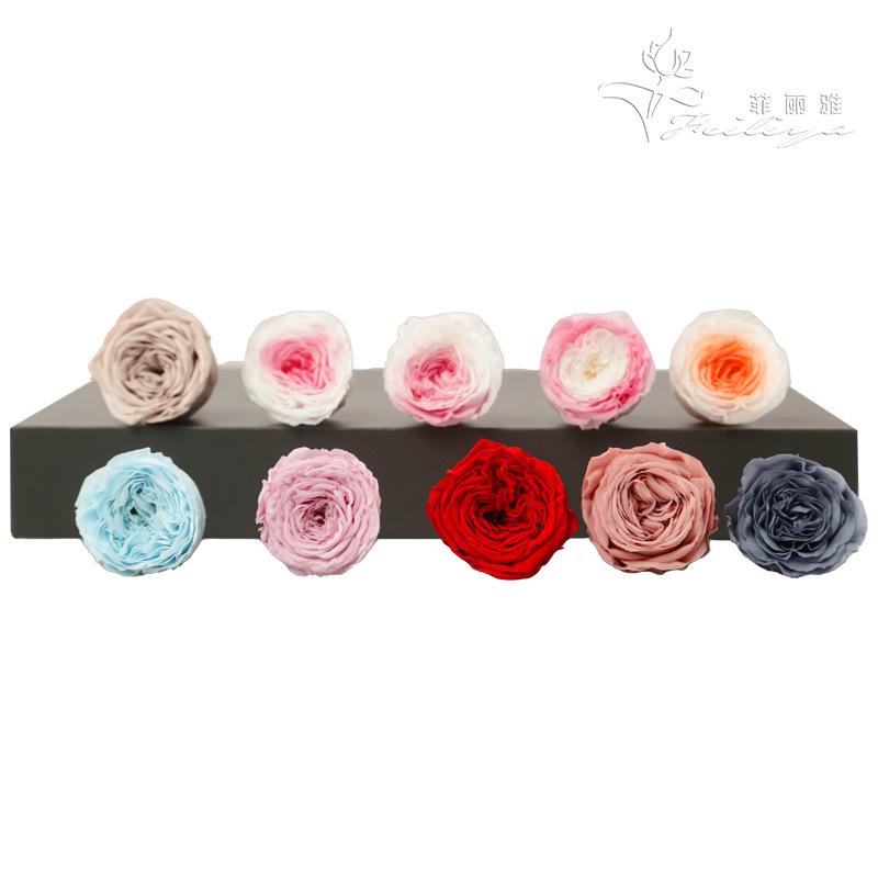 Hoa khô trang trí FY-9