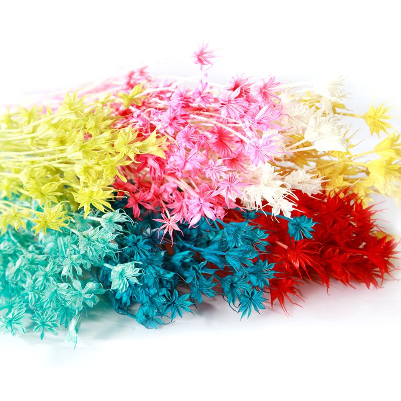 Hoa khô trang trí FY-168