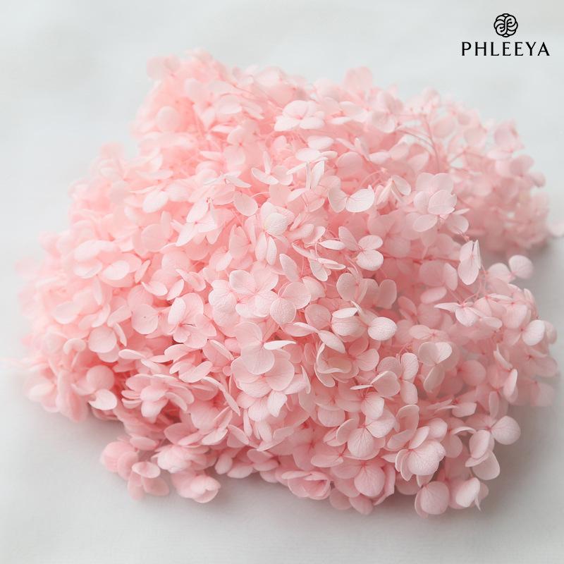 Hoa khô trang trí Cẩm tú cầu Anna vĩnh cửu 20g DIY hoa khô trang trí (HK-32)