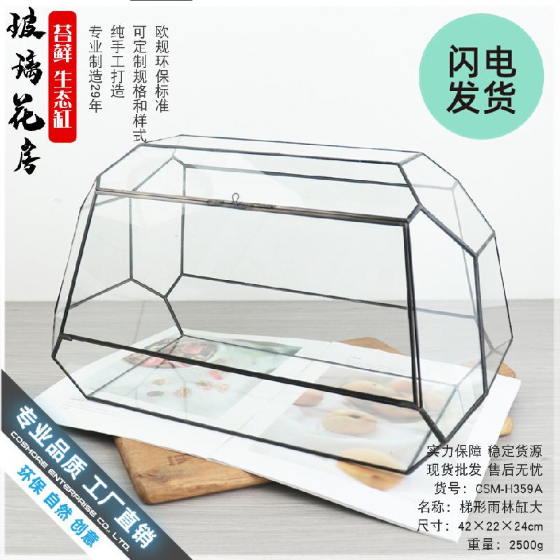 Chậu Đa Giác Bể kính thủy sinh Terrarium, bể rừng mưa mini (DG-56)