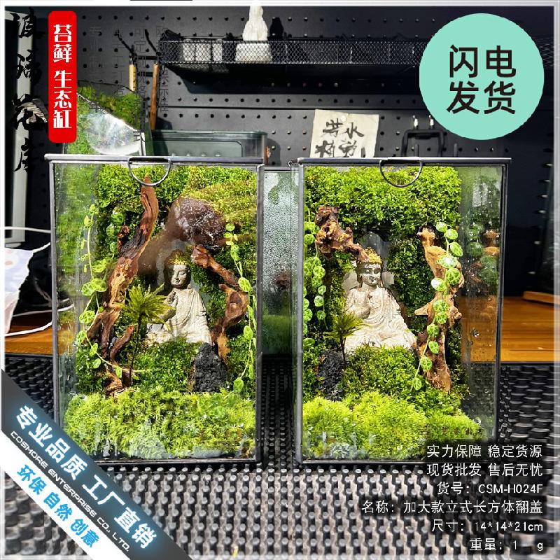 Chậu Đa Giác Bình Terrarium rêu cảnh DIY (DG-8)
