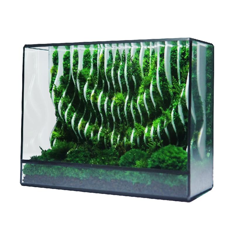 Bể kính rêu cảnh thủy sinh (DG-25)