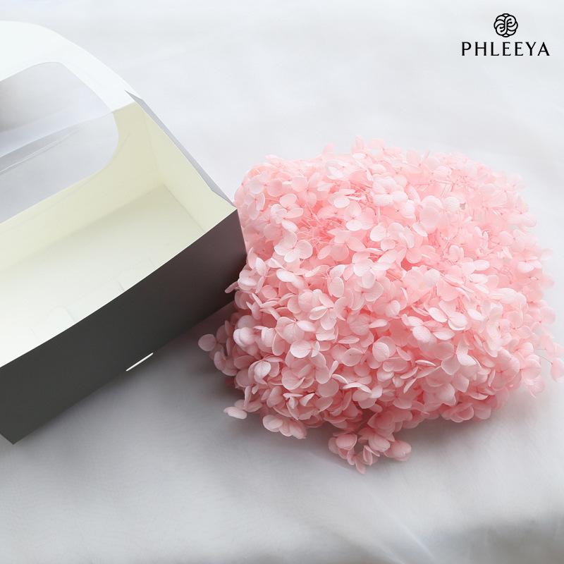 Hoa khô trang trí Cẩm tú cầu Anna vĩnh cửu 20g DIY hoa khô trang trí (HK-32)