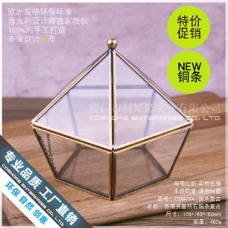 Chậu Đa Giác Nhà kính vàng đa giác, hộp hoa hồng bất tử (DG-157)