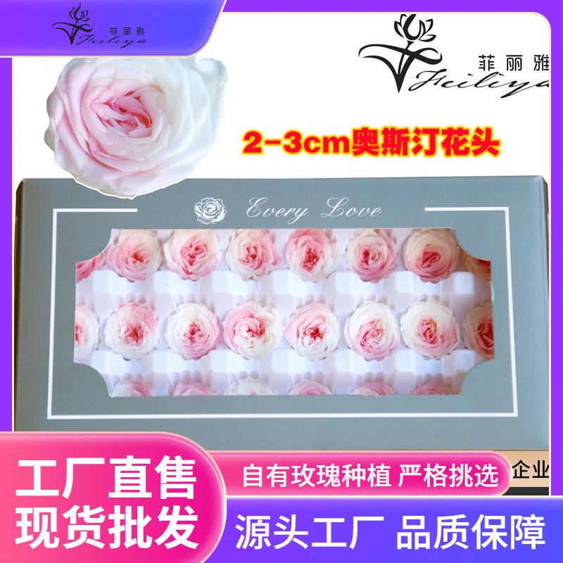 Hoa khô trang trí FY-9