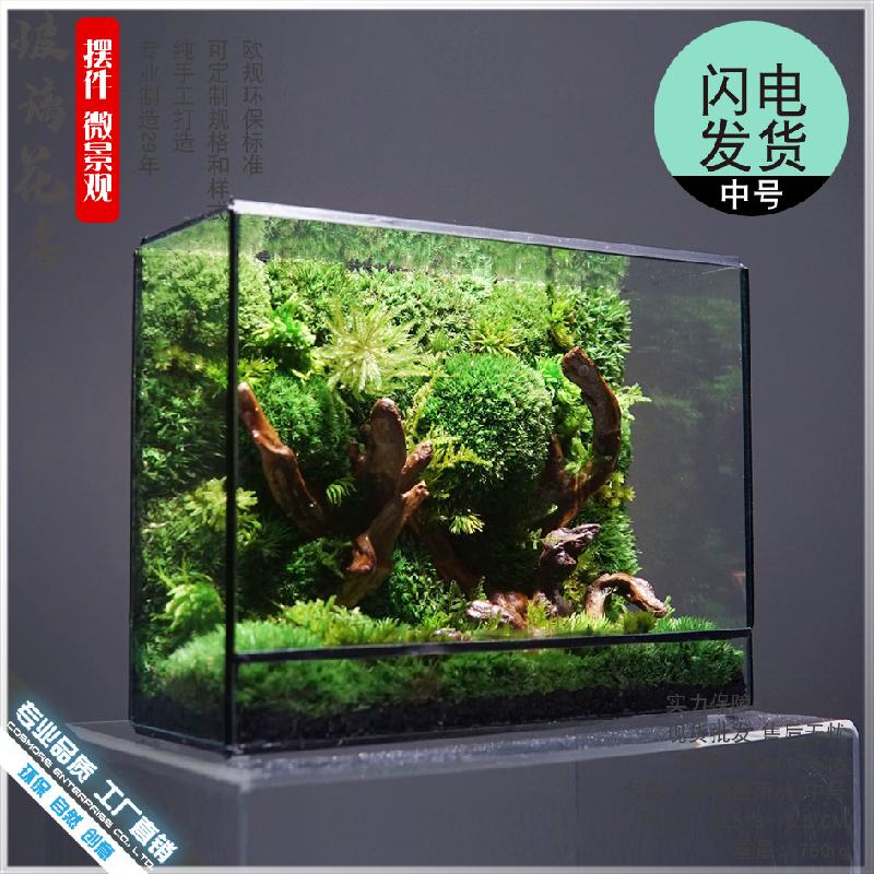 Chậu Đa Giác DG-18 Các bức tranh rừng kính hoa phòng để trang trí thiên nhiên