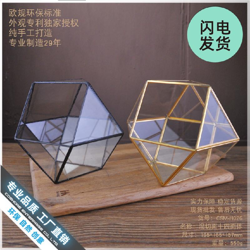 Chậu Đa Giác Bình sinh thái rêu cảnh DIY (DG-224)
