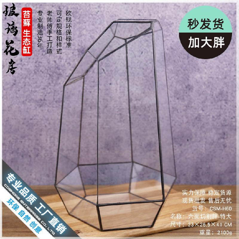 Chậu Đa Giác Nhà kính 6 mặt cắt lớn Terrarium (DG-233)