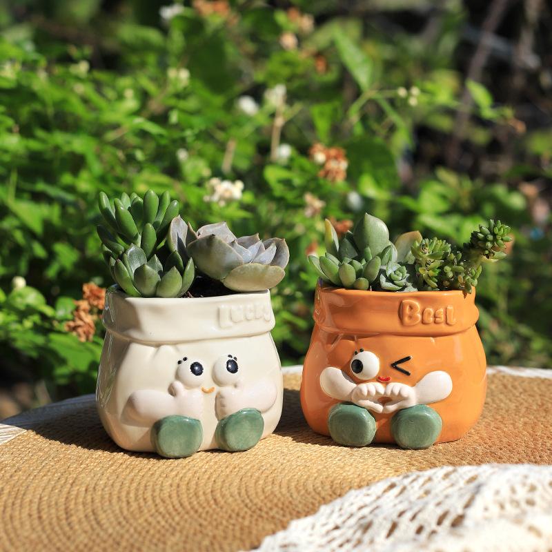 Chậu Cây Resin Chậu cây mọng nước bằng gốm hoạt hình, chậu mini để bàn, trang trí sân vườn và nhà (RG-135)