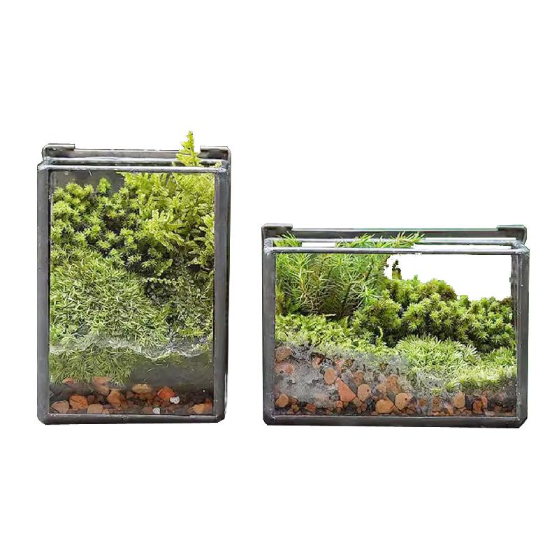 Hộp kính Terrarium rêu cảnh để bàn (DG-13)