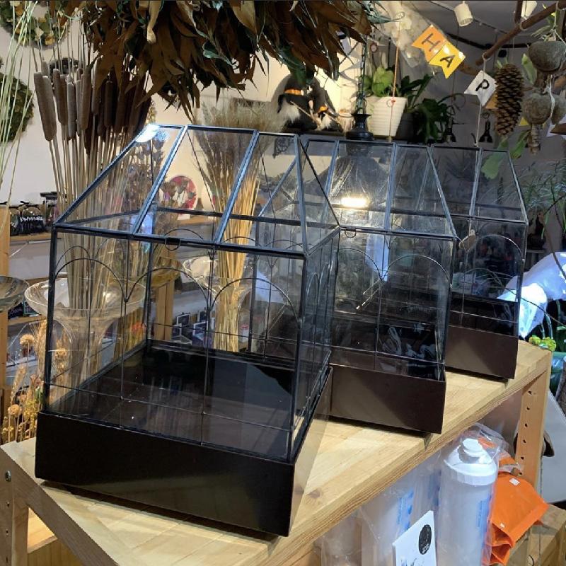 Chậu Đa Giác Bình kính Terrarium hình học đặt bàn (DG-83)