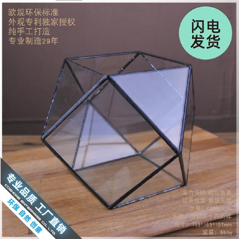 Chậu Đa Giác Bình sinh thái rêu cảnh DIY (DG-224)