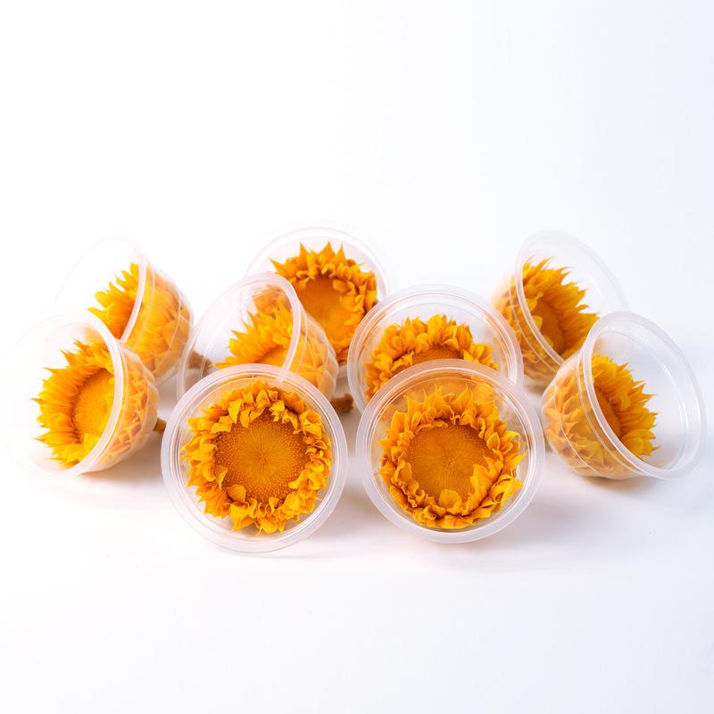 Hoa khô trang trí FY-37