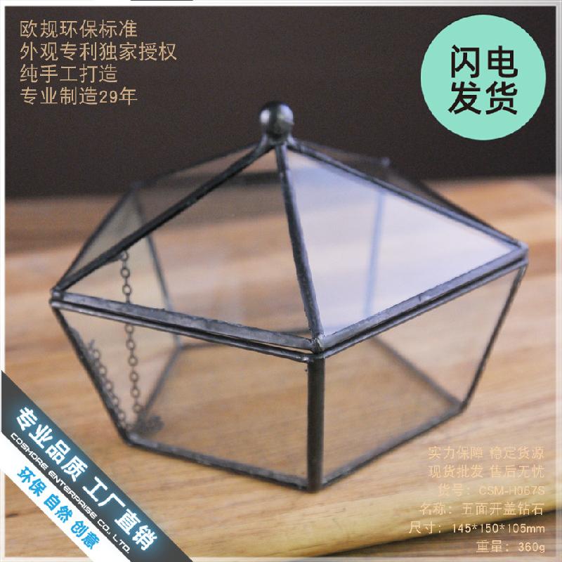 Chậu Đa Giác Hộp kính hoa bất tử mini, hộp quà sinh nhật (DG-174)