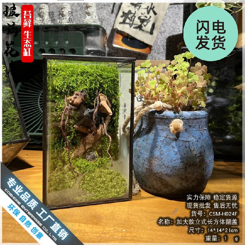 Chậu Đa Giác Bình Terrarium rêu cảnh DIY (DG-8)